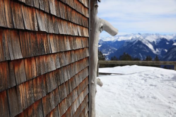 Cedar Siding Repair in Eagle