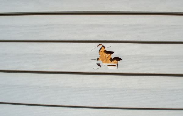 Siding Hole Repair in Eagle