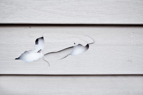 Siding Leak Repair in Eagle