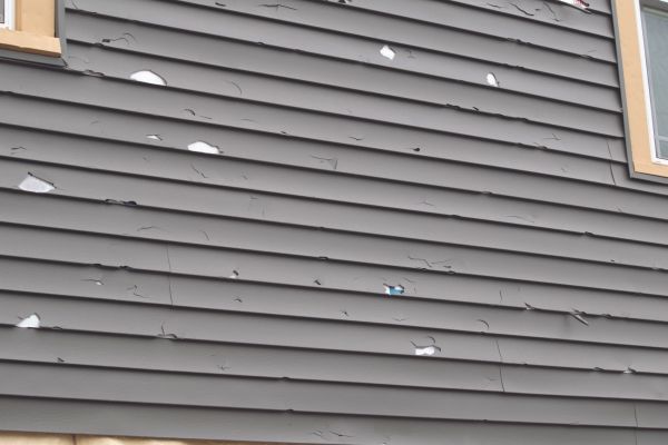 Damaged Siding Replacement in Eagle