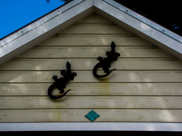 Shiplap Siding Installation in Eagle